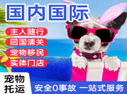 海浪航空托运国际宠物托运 【国